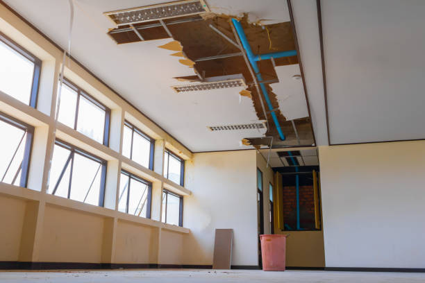 Best Professional water damage repair  in Gallipolis, OH