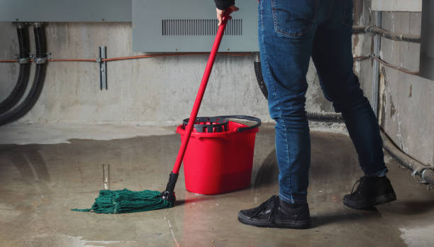 Best Water damage restoration near me  in Gallipolis, OH